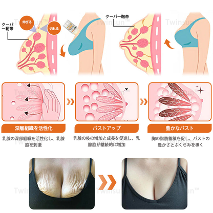 ✨Twinsun™ ボトックス×蜂毒配合の引き締め美容スティックが新登場！🔥本日限定！70％OFFの最終セール開催中！